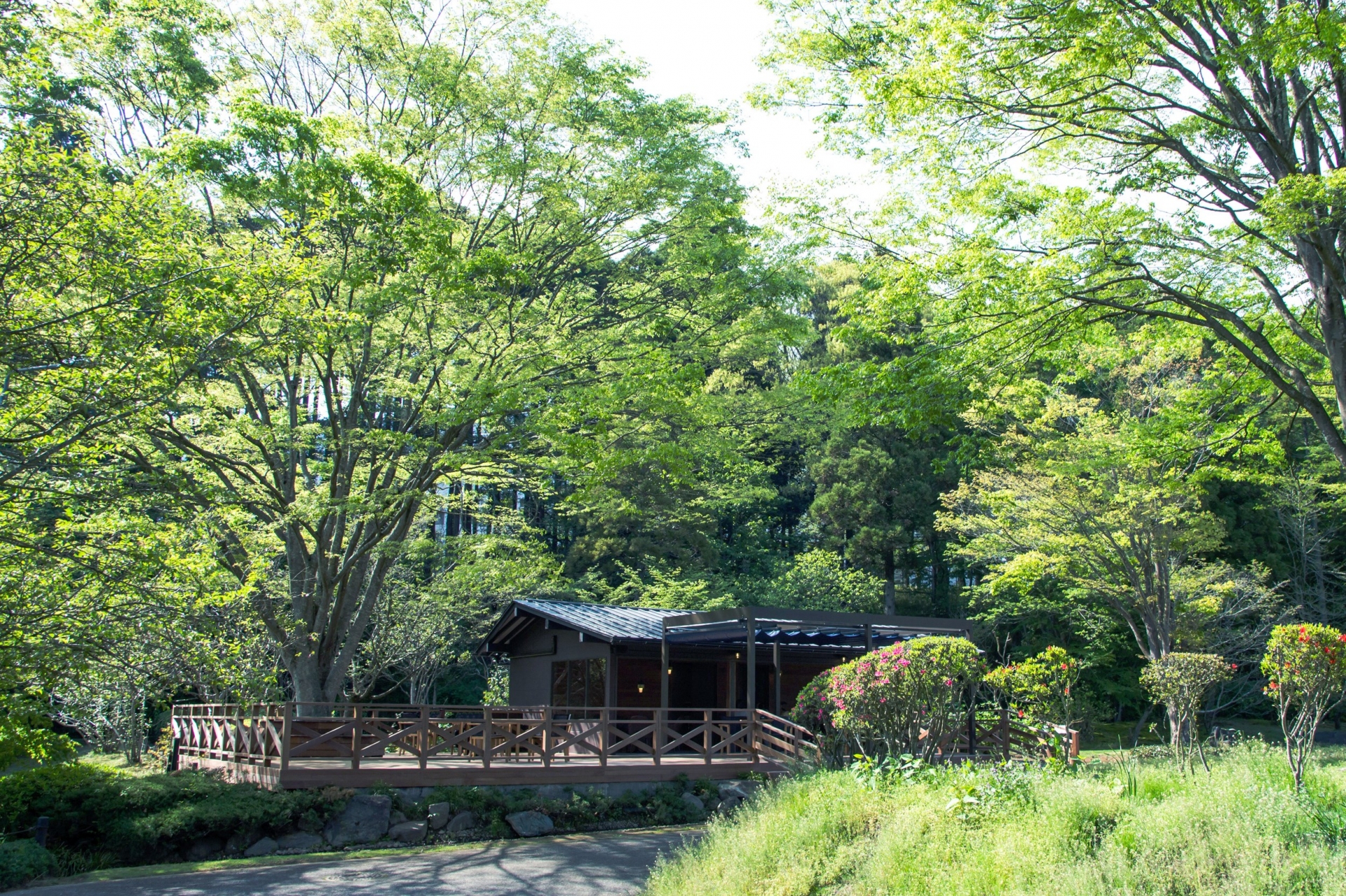 アクセス背景